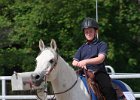 Pferd International 033